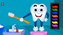 Learn Colors with Color Tooth Brush   Colours for Toddlers to Learn   Kids Baby Learning V