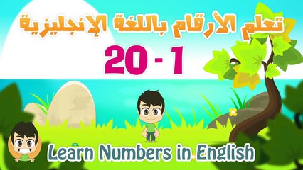 Learn Arabic Numbers for kids 10 -20  learn numbers for children in Arabic 10 20