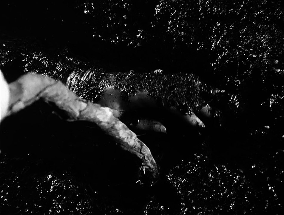 Der Kommissar  E29 - Der Moormoerder