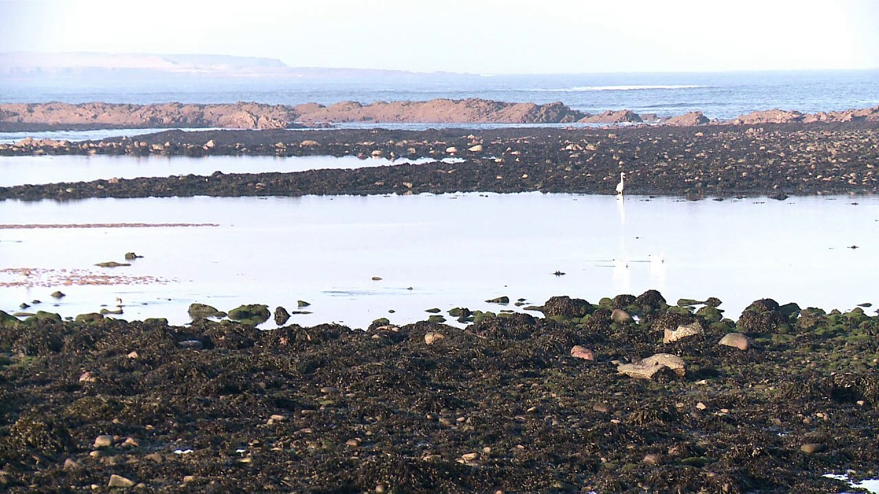 Irisches Dorf jubelt über Donald Trump
