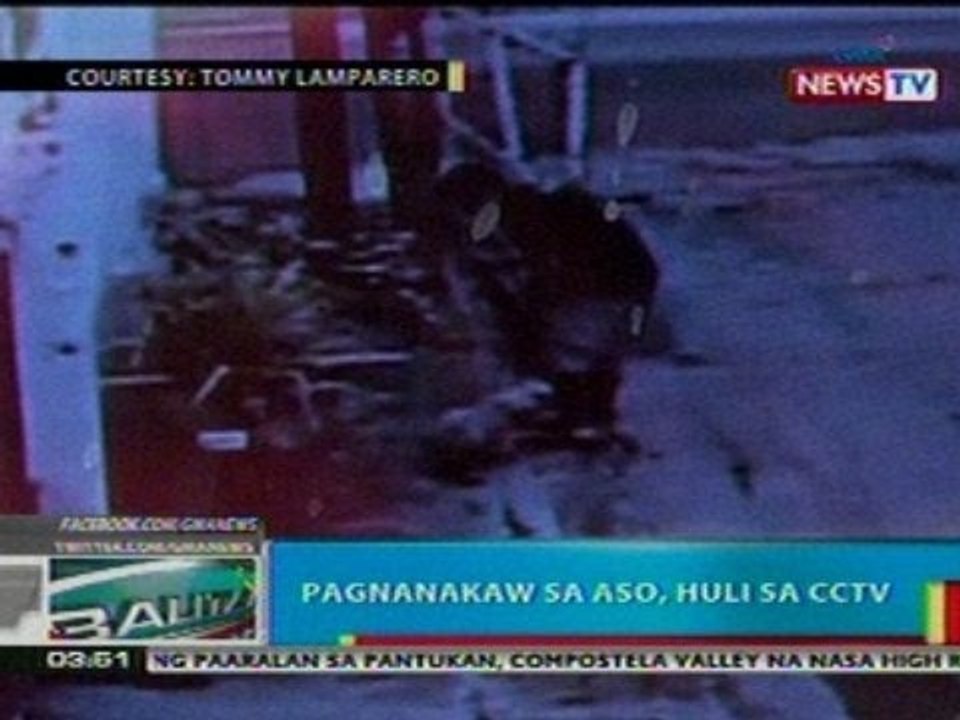 BP: Pagnanakaw sa aso sa Iloilo, huli sa   cctv