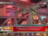 BT: Pagbagsak ng sanga ng puno sa   Mandaluyong, nagdulot ng brownout