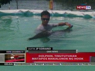 QRT: Dolphin sa Zambales, tinututukan nang   makalunok ng hook