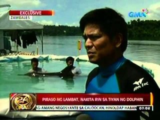 24oras: Dolphin, ginagamot matapos makalunok ng fishing hook