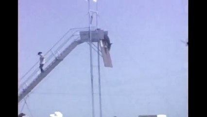 Лошадь ныряет с 10 метровой вышки:) странный ПРИКОЛ