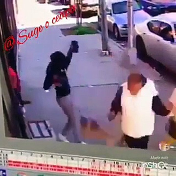 Attaque d'un chat enragé sur un petit chien... Le pauvre!