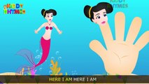 Finger Family (Shark) Finger Family | Mermaid Finger Family | Fish Finger Family Rhymes