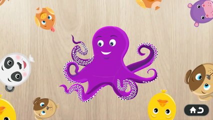 Animals Puzzle For Kids - Kids learn Animal - Education App for Kids