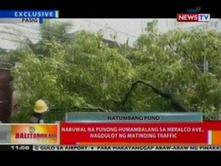 BT: Nabuwal na punong humambalang sa Merlaco Ave., Pasig, nagdulot ng matinding traffic