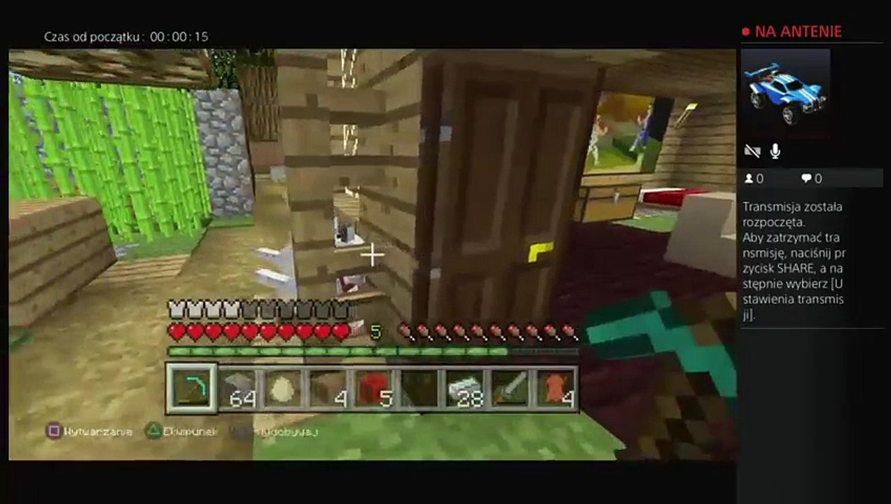 Minecraft (25)
