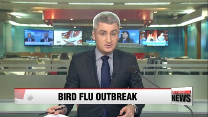 Bird flu detected on Korea's southern Jeju Island