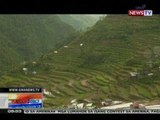 NTG: Rice Terraces sa Cordillera, tinanggal na sa listahan ng mga nanganganib na world heritage site