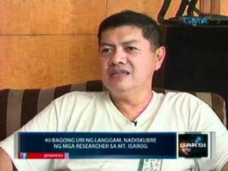 Saksi: 40 bagong uri ng langgam, nadiskubre ng mga researcher sa Mt. Isarog