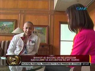 24oras: Mahigit 40 bagong uri ng langgam, nadiskubre sa kagubatan ng Mt. Isarog