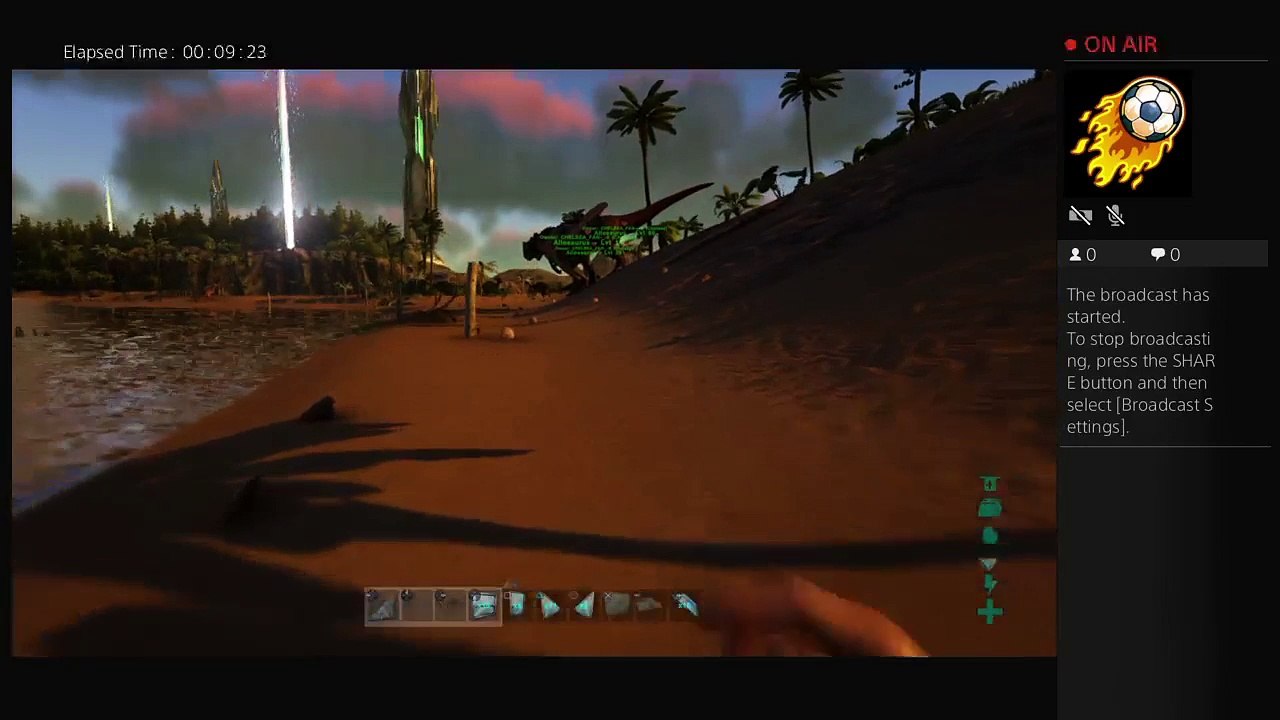 Ark (12)