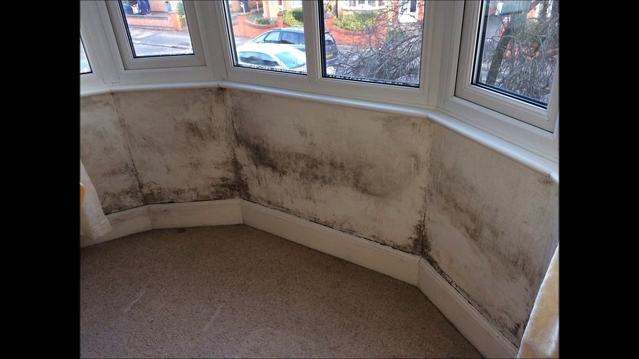 Damp Proofing UK Sheffield Derby Chesterfield London 0800 328 7080