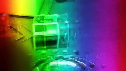 Shopkins Music Video:This is What you came for by Calvin Harris ft. Rihanna