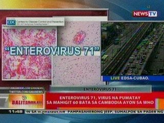 BT: Enterovirus 71, virus na pumatay sa mahigit 60 bata sa Cambodia ayon sa WHO