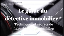 Quelle est l'tilité d'un coach immobilier pour les professionnels - Détective Immobilier ®
