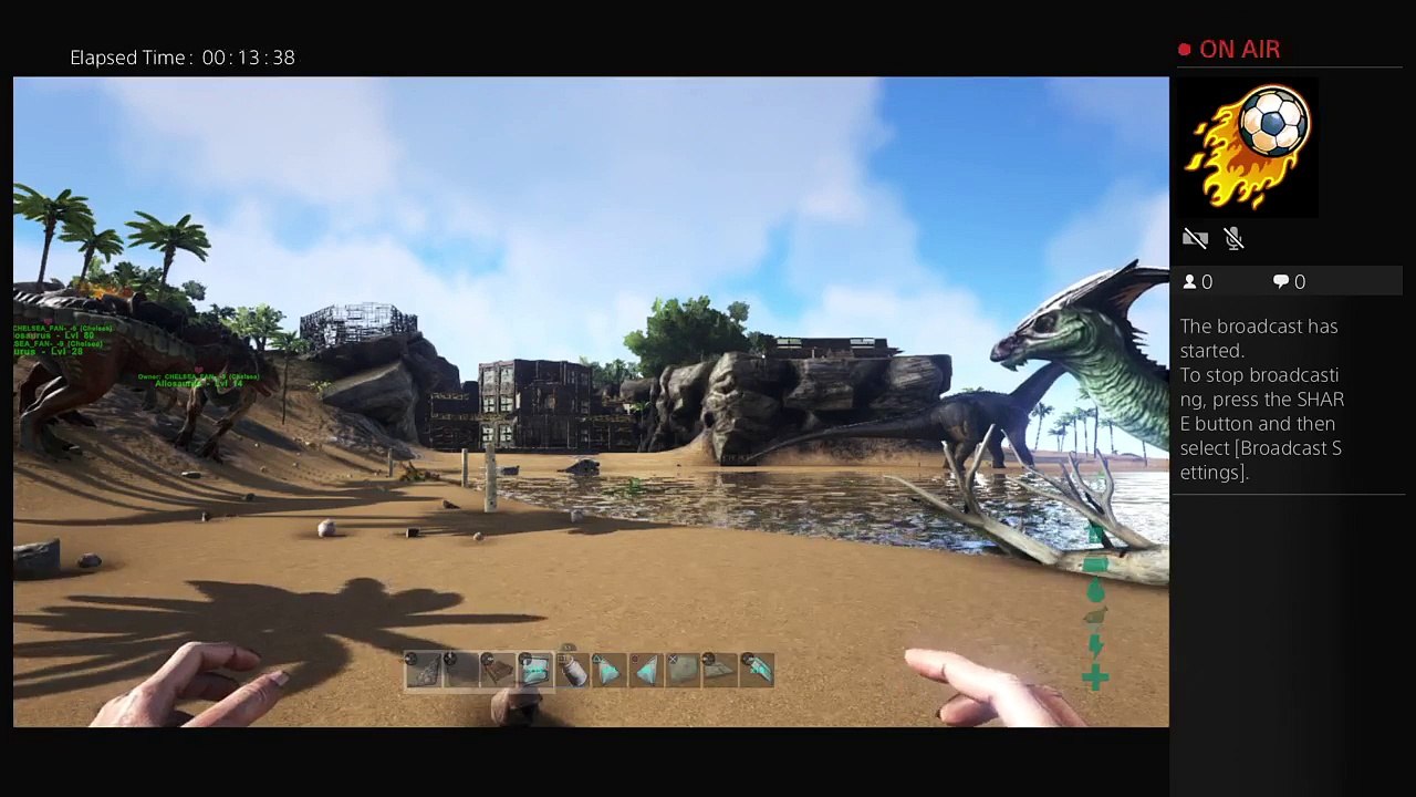 Ark (13)