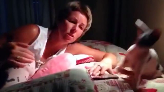 Пёс не хочет уступать место коту. Кот ревнует к собаке