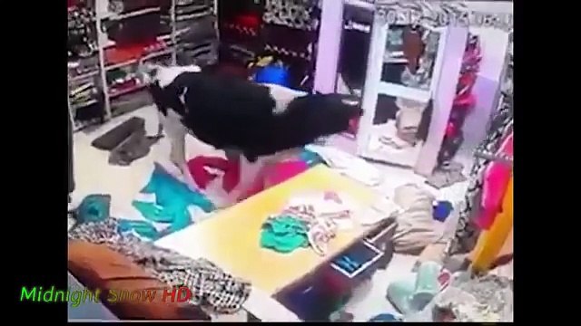 @Trending... It happens only in India __ Funny Videos __ Whatsapp Videos