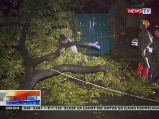 NTG: Puno, nabuwal sa gitna ng pag-ulan sa Pasig