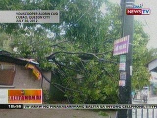 BT: Mga youscoopers, nakunan ang natumbang puno at baha sa kanilang mga lugar