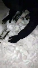 Minohen shinat e trenit i cili është nisur nga Beogradi për në Mitrovicë.