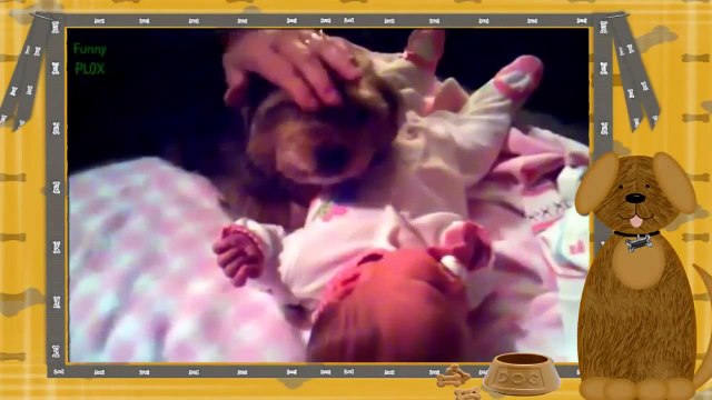 Собаки и Дети! Ну очень милое зрелище