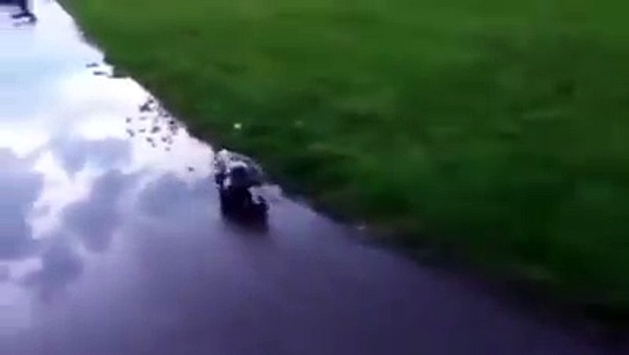 Bara ajeeb sa janwar hai koi bata sakta hai k ye kia hai