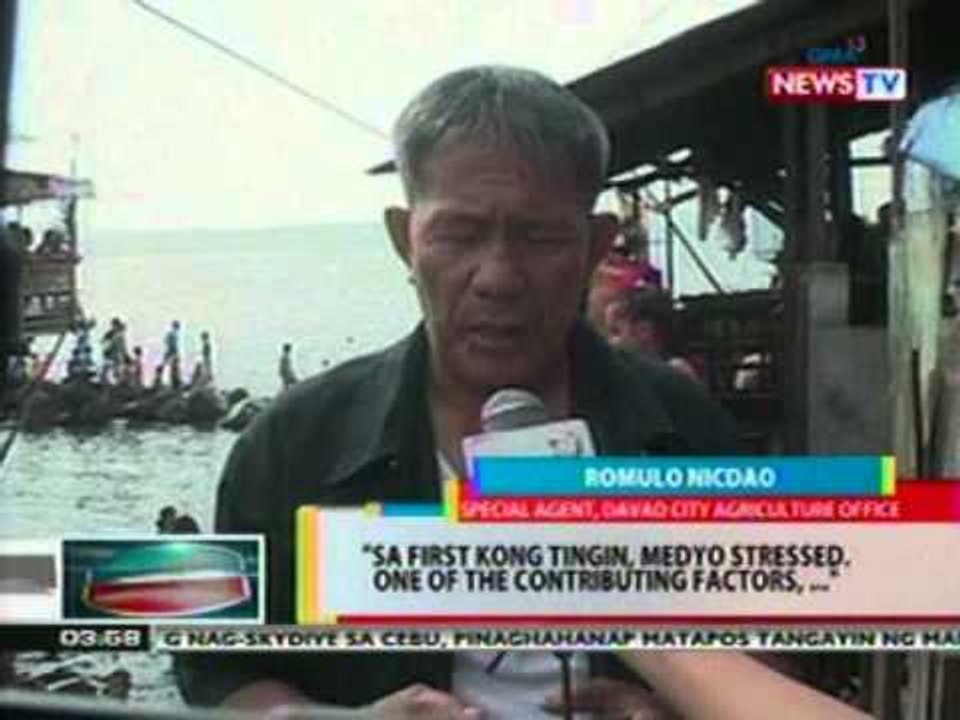 BP: 2 endangered dolphins, nakita sa baybayin sa Davao