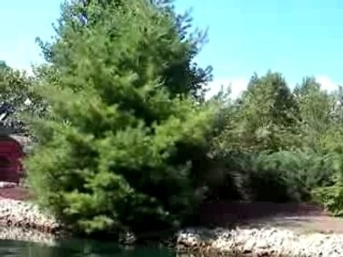 Bateau, commentaires et vieilles blagues