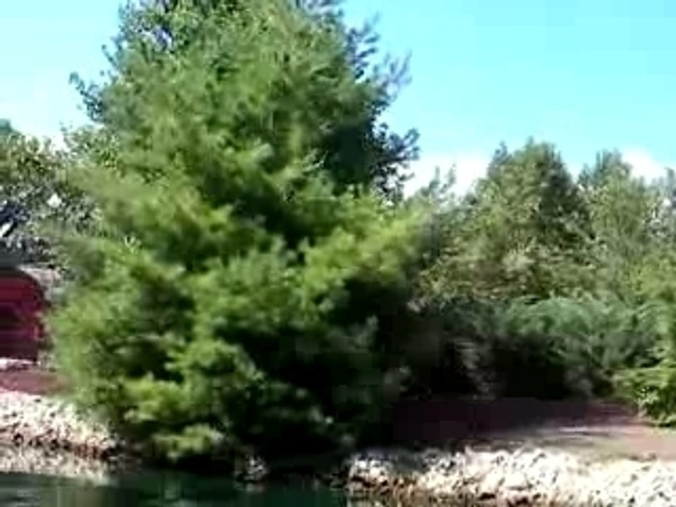 Bateau, commentaires et vieilles blagues