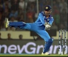 TOP INSANE CATCHES IN CRICKET   2016-2017