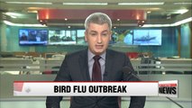 Bird flu detected on Korea's southern Jeju Island