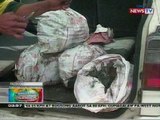 BP: 4 sako ng bala, nahukay sa Pangasinan