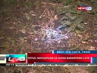 NTL: Fetus, natagpuan sa isang bakanteng lote sa Brgy. Sta. Lucia, Pasig