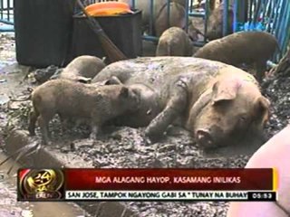 24oras: Ilang evacuee, 'di pa rin makabalik sa kanilang bahay sa gilid ng ilog