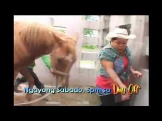 Day Off: Isabel Oli at Maey B bilang mga horse caretakers!
