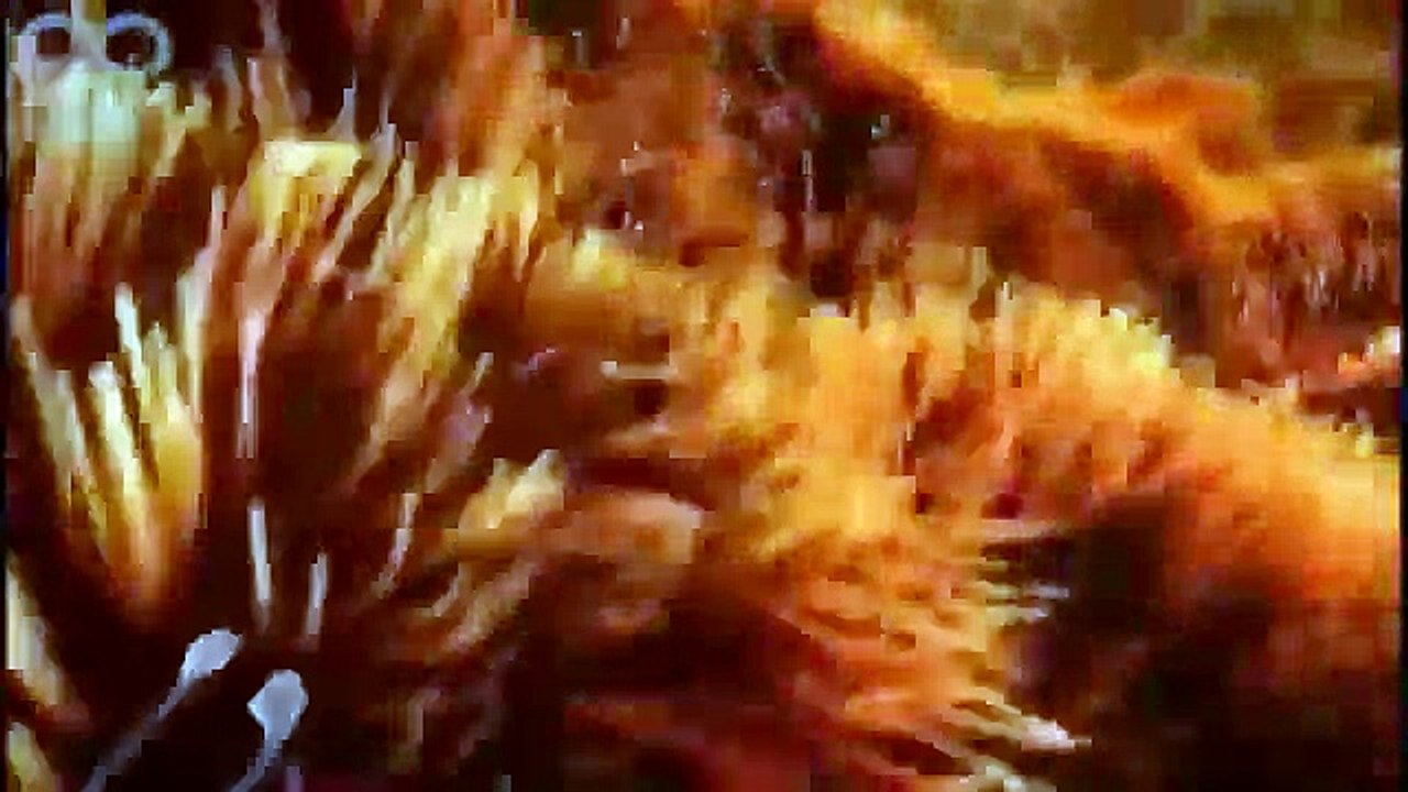 9 Months Of Pregnancy In 4 Minutes