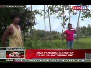 QRT: Mga pananim, namatay dahil sa matinding init sa Bohol