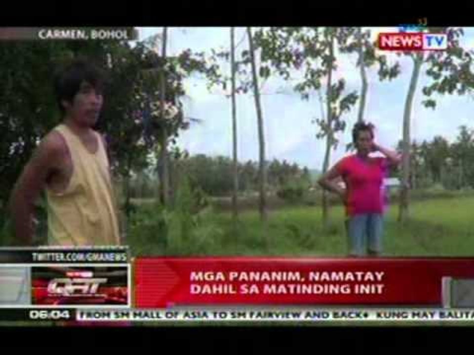 QRT: Mga pananim, namatay dahil sa matinding init sa Bohol