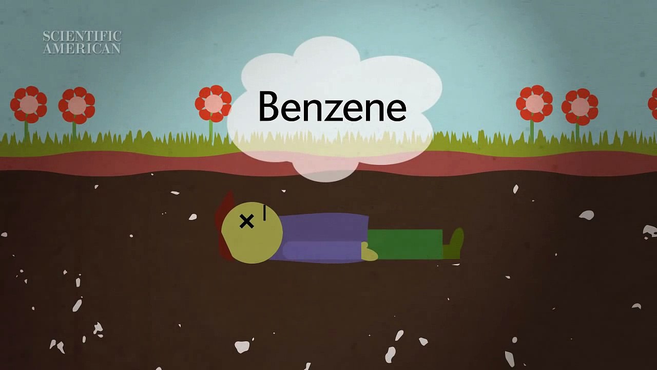 What Happens to Your Body after You Die