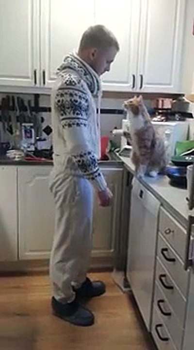A chaque fois qu’il doit sortir, son chat lui r...