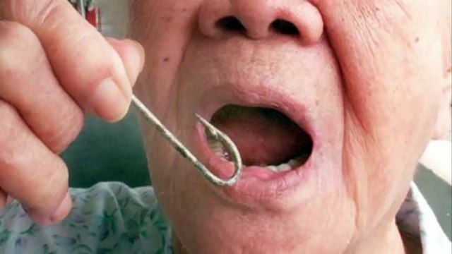 ☀Chuyện Nhân Quả Báo Ứng☀ ĂN THỊT RÙA, CÁ BỊ BÁO ỨNG