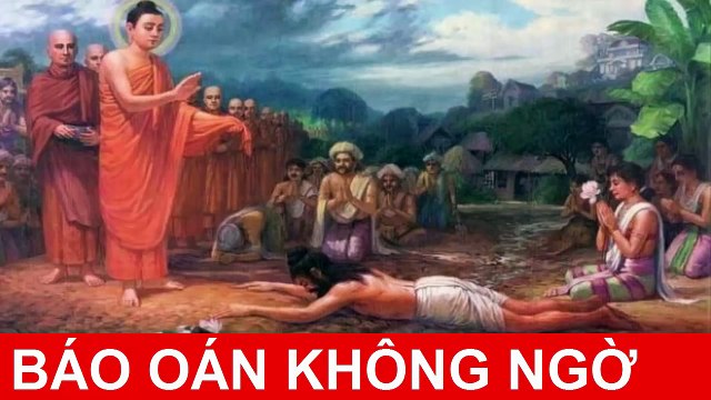 ☀Chuyện Nhân Quả Báo Ứng☀ BÁO OÁN KHÔNG NGỜ