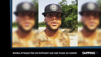 Booba se fait charger par un éléphant, les images surprenantes (Vidéo)