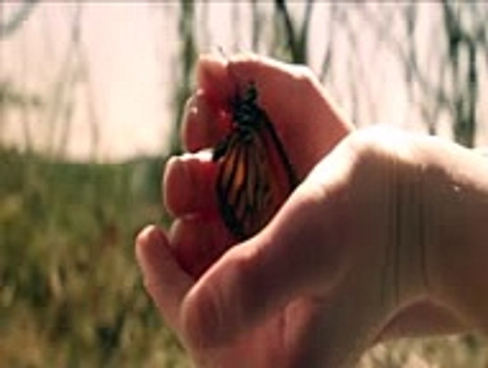 Bleed (Theatrical Trailer)