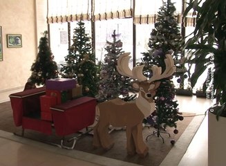 Počinje sezona kongresnog turizma, 14. januar 2017. (RTV Bor)